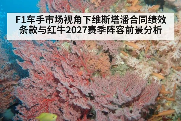 F1车手市场视角下维斯塔潘合同绩效条款与红牛2027赛季阵容前景分析